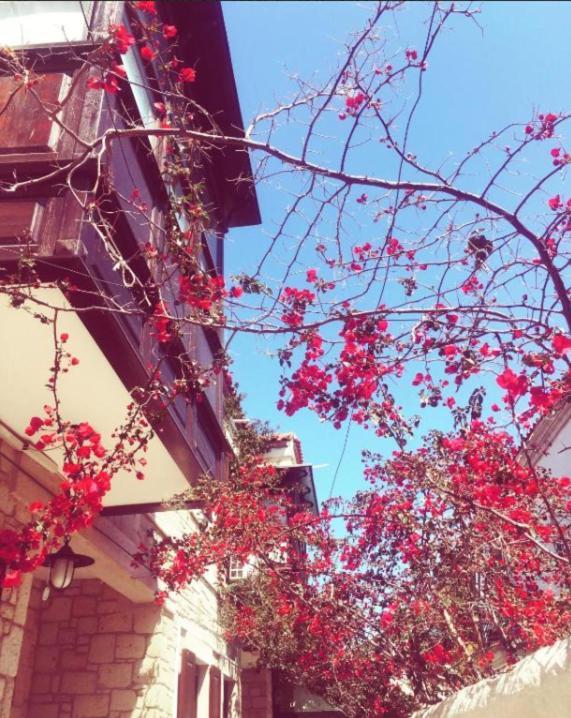 Alayaz Hotel Alaçatı Exteriör bild