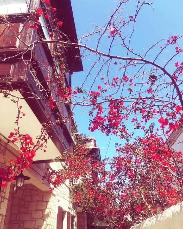 Alayaz Hotel Alaçatı Exteriör bild