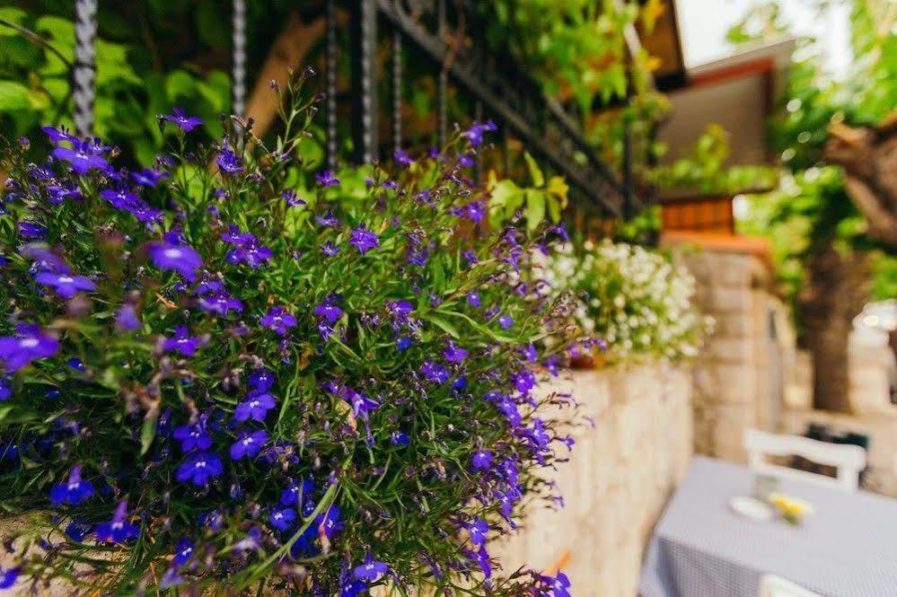 Alayaz Hotel Alaçatı Exteriör bild